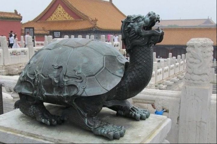 Picture Turtle Forbidden City